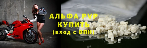 ПСИЛОЦИБИНОВЫЕ ГРИБЫ Каменногорск
