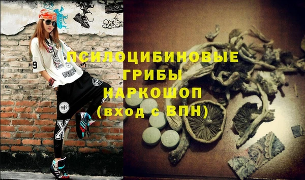 МДПВ Абаза