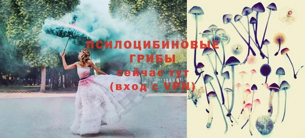 МДПВ Абаза