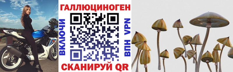 Псилоцибиновые грибы Magic Shrooms  что такое   Зарайск 
